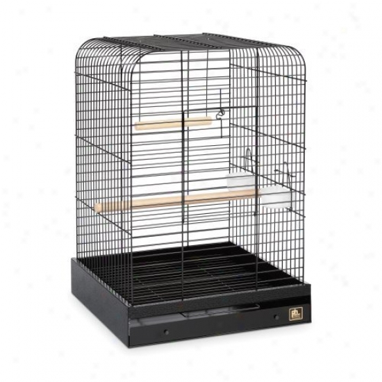 Prevue Pet Products Parrot Cage