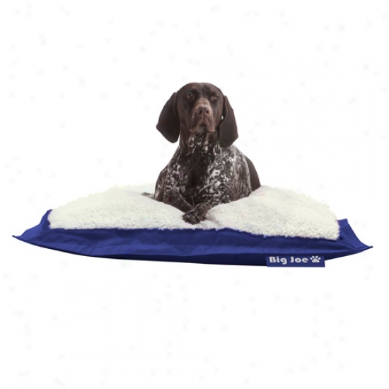 Biv Joe Rectangular Fondling Bed, 36"w X 48"d