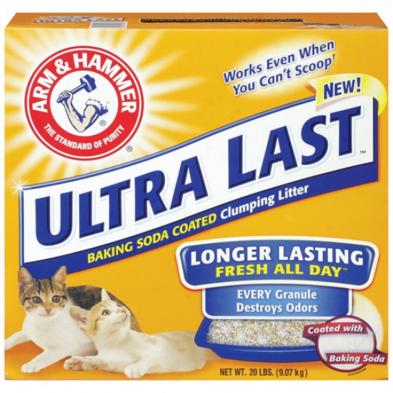Church And Dwight 035943 Arm And Hammer Extreme Last Clumping Litter 20 No.  -pack Of 2
