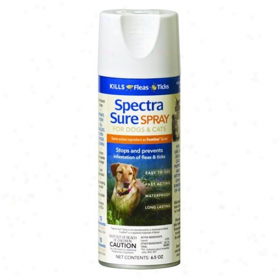 Durvet 01-1158 Spectra Sure Spray For Dogs And Cats