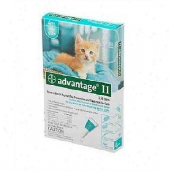 Fce Advantage 2 Cat