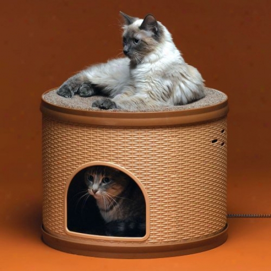 Heated Pet Chest