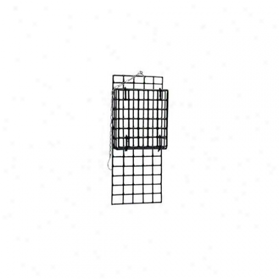Heath Heaths7 Tallow Cage With Extended Tail P5op