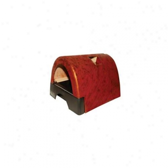Kittyy A Go Go  Litter Driver's seat -burl-wood-10104