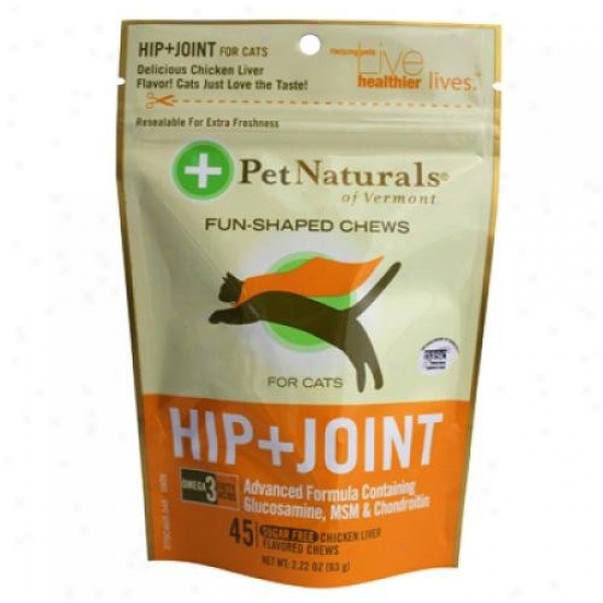Favorite Naturals Of Vermont Hip And Joint For Cats Chicken Liver 45 Soft Chews