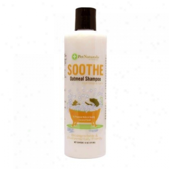 Pet Naturals Of Vermont Soothe Oatmeal Shampoo For Dogs And Cats 16 Fl Oz