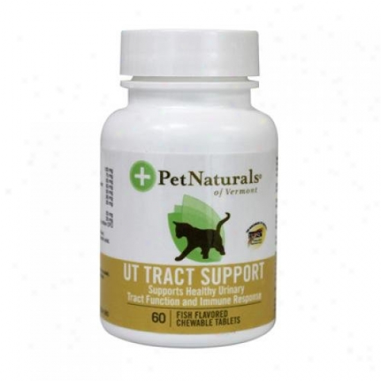 Pet Naturals Of Vemont Ut Region Support For Cats Splice 60 Chewables