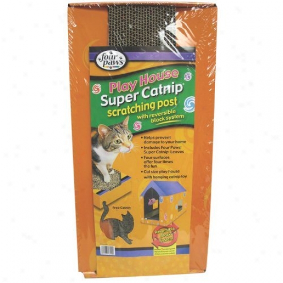Super Catnip Cat Scratcher House