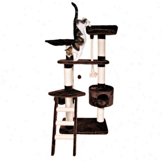 Trixie Pet Products Pizarra Cat Playground