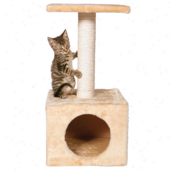 Trixie Pet Products Zamora Kitten Tree