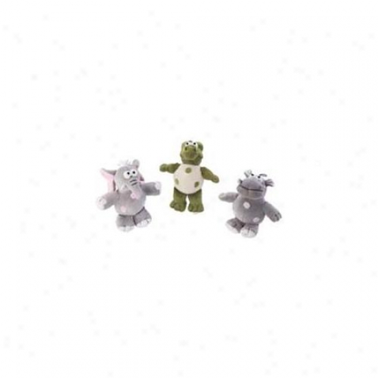 9 Inch Dizzy Dots Assortment  - 5616