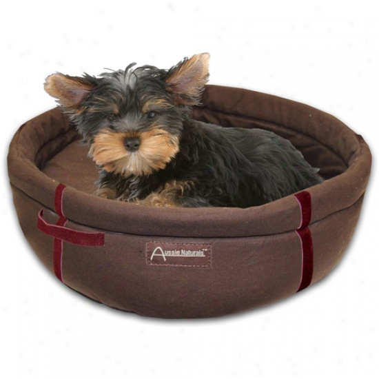 Abo Gear Aussie Naturals 100% Natural Cotton Brisbane Round Fondle Bed, Small 16"