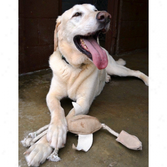 Abo Harness Jute Pheasant Dog Toy