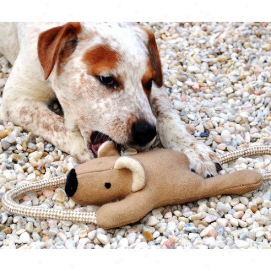 Ab Gearing Koala Bar With Pull Dog Toy