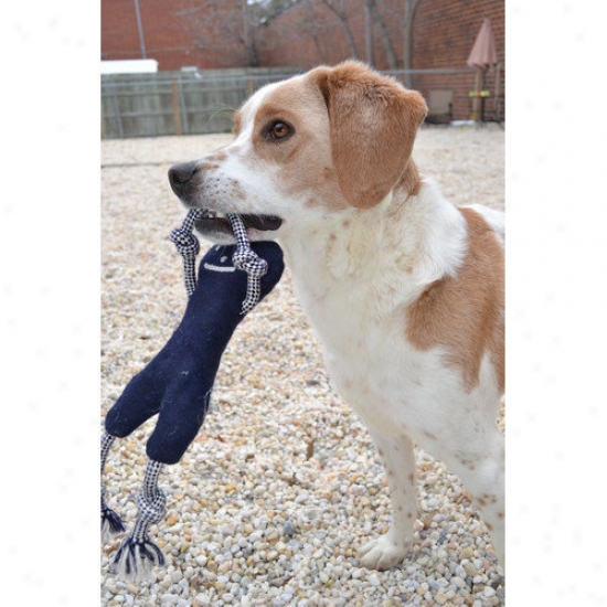 Abo Gear Smiley Bone Dog Toy