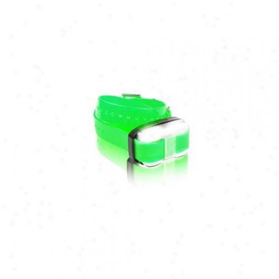 Agm Distribution Collar-dg-edge-gr Dogtra Edge Add A Dog Collar With Green Strap
