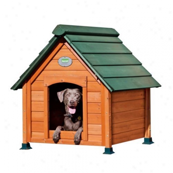 All Cedar Dog Cottage