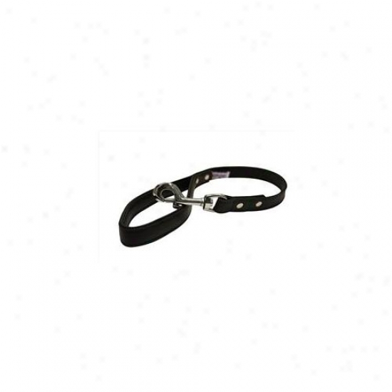 Angel Pet Suopplies 10000 Traffic Lead In Midnight Black