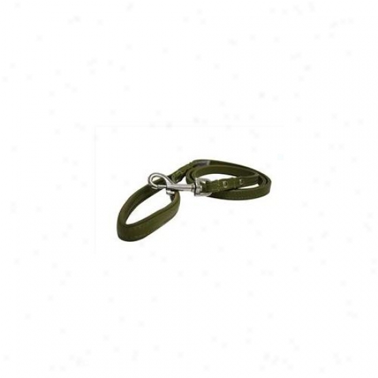 Angel Pet Supplies 40004 Alpine Leash In Olive Green