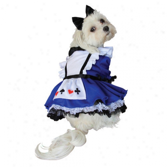 Anit Accessories Alice Dog Costume