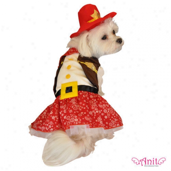 Anit Accessories Cowgirl Dog Costume