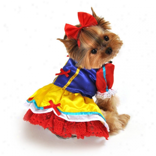 Anit Accessories Enchanted Snow Princezs Dog Costume