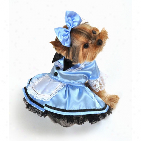 Anit Accessories Fantasy Alice Dog Costume