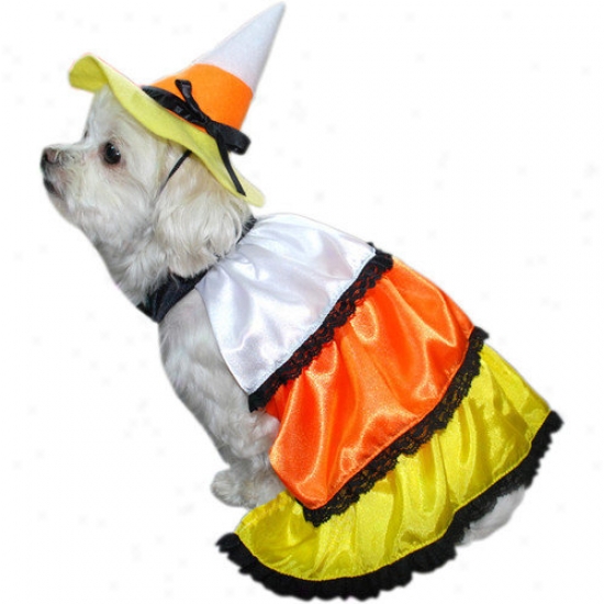 Anit Accessories Kandy Korn Dog Costume