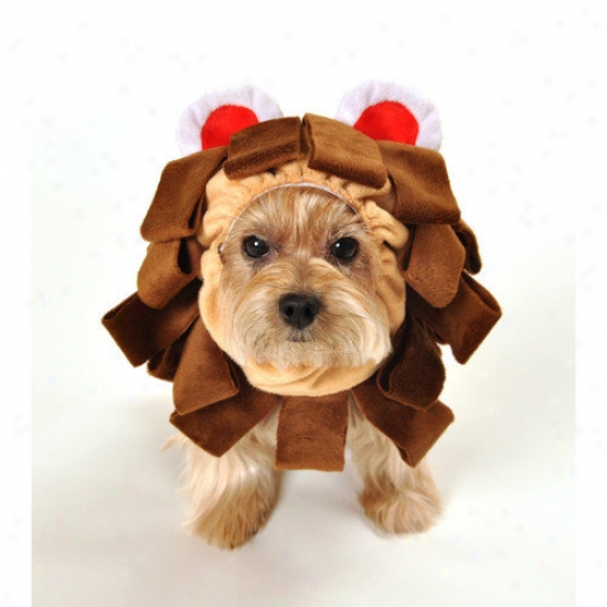 Anit Accessories Lion Dog Costume
