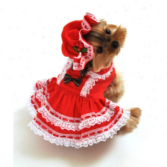 Anit Accessories Miss Santa Baby Dog Costume