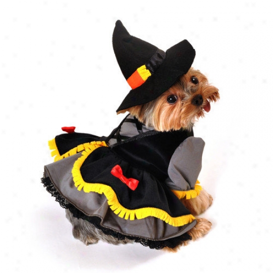 Anit Accessories Scarecrow Witch Do gCostume