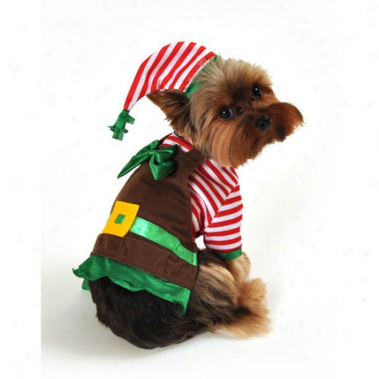 Anit Accessories Workshop Elf Dog Costume