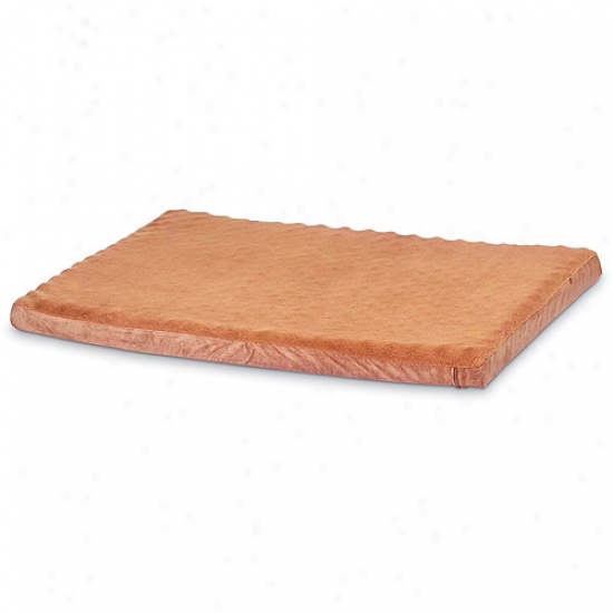 Antimicrobial Ortho Bed