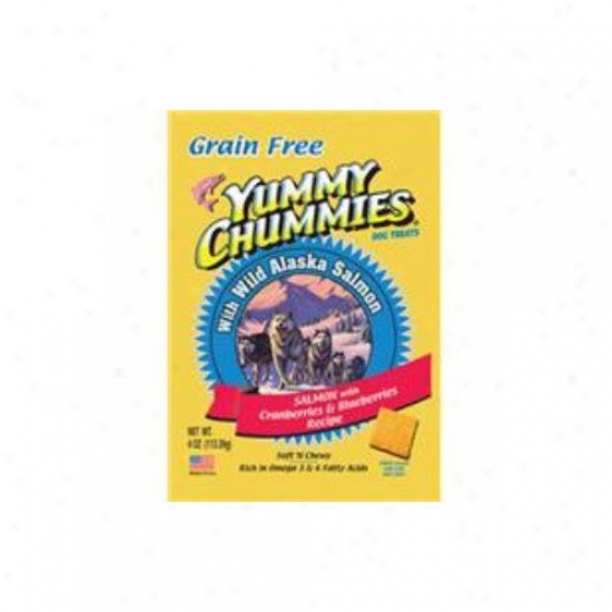 Arctic Paws Yummy Chummies Salmon And Berries - Grain Free Dog Treat