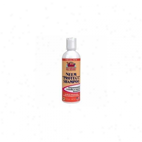 Ark Natural Foods 63032 Neem Protect Shampoo