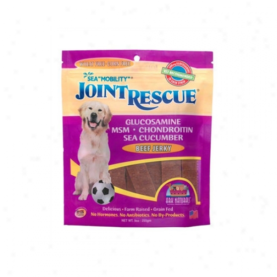 Ark Natural Product For Pets 9 Oz Sea ''mobilityœ' Beef Jerky Dog Food