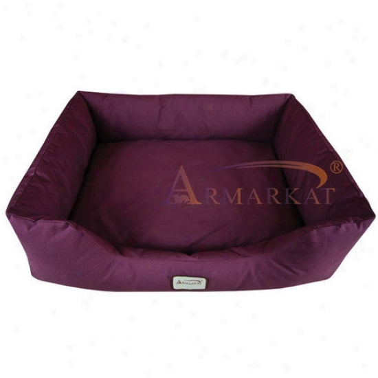 Armarkat Dog Channel In Burgunfy