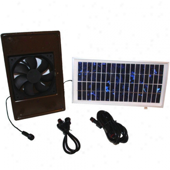 Asl Solutions Dog Pwlace Breeze