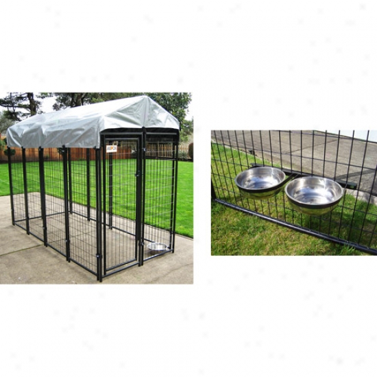 Aspca Prsmium Dog Hole  With Two Stainless Steel Bowls Bundle