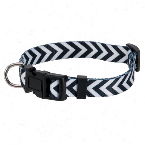 Aspen Pet Medium Faashion Pet Collar, Black/white