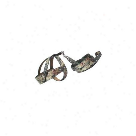 Backbone Pet Enterprise Ba3404 Floral Printed Dog Leash