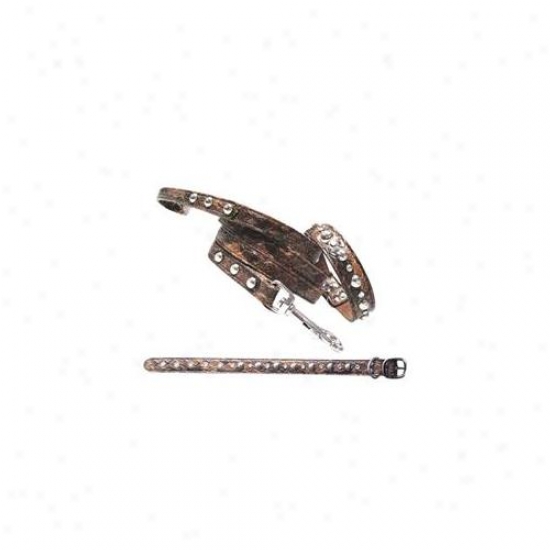 Backbone Pet Enterprlse Ba3412 Faux Crocodile Brosn Dog Leash