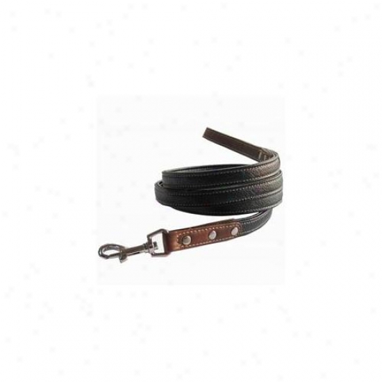 Backbone Pet Enterprise Ba5084leash Black Dog Leash