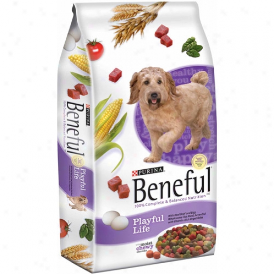 Beneful Dry Plahful Life Dog Food, 15.5 Lbs