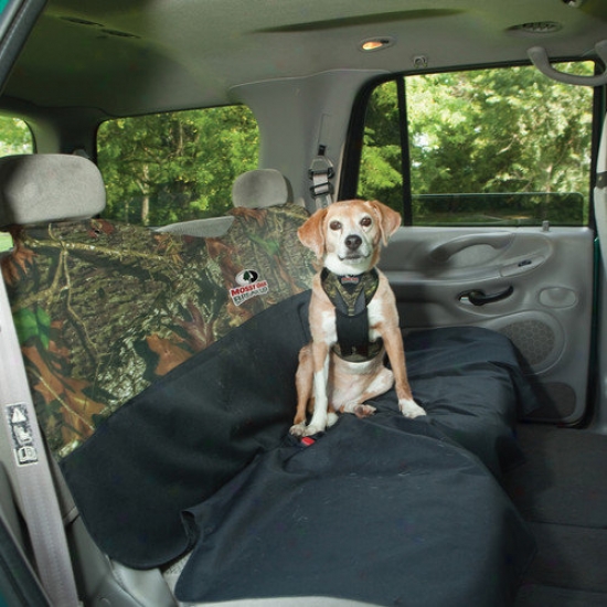 Bergan Pet Products Dog Harness With Tether