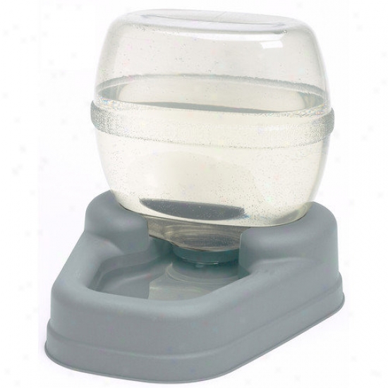 Bergan Fondle Products Epicure Pet Refilling Take in ~ Dish
