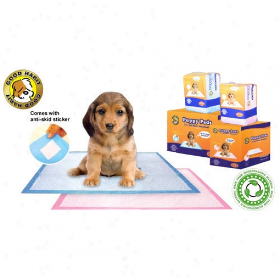Best Pet Supplies Puppy Pad (30 Pieces)
