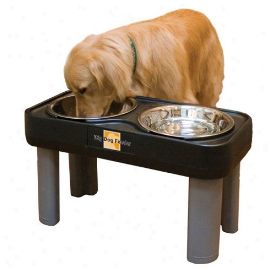 Big Dog Double Bowl Feeder - 16 In. Mourning