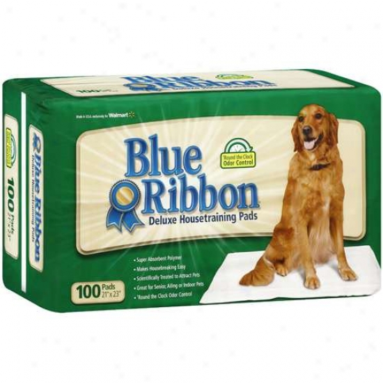 Blue Ribbon Deljxe Housetraining Pads, 100-count
