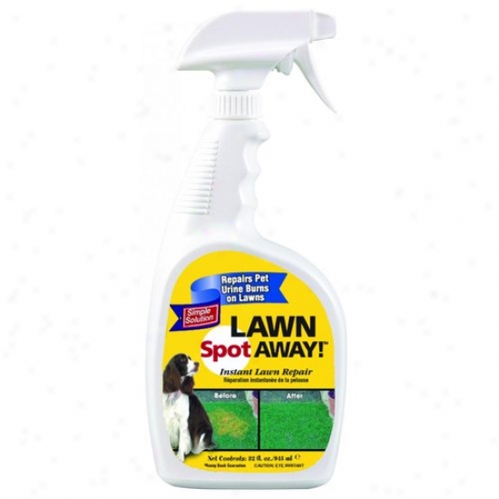 Bramton 10612 Lawn Spot Away